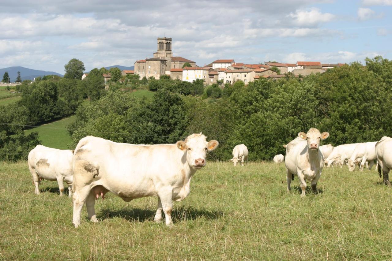 Bed and Breakfast La Paresse En Douce Tours-Sur-Meymont Exterior foto